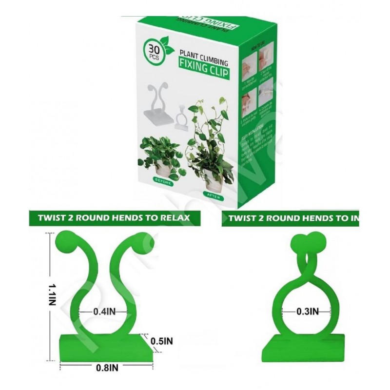 MUKTA ENTERPRISE Green 5 cm Acrylic Table Hookah - Pack of 30