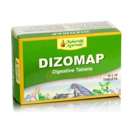 Maharishi Ayurveda DIZOMAP 100 TABS (PACK OF 2)