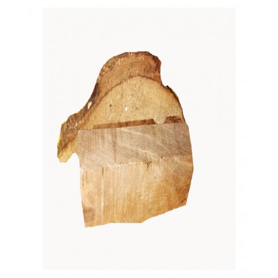 Mango Wood (Samidha) for Hawan Pooja 1 KG Mango Wood (Samidha) for Hawan Pooja 1 KG