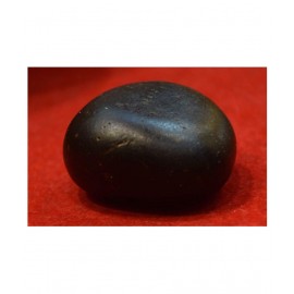 Mithila Shaligram
