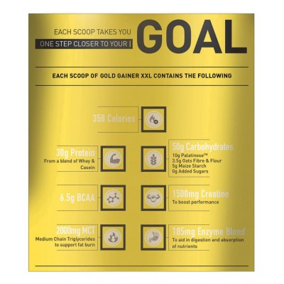 MuscleBlaze Gold Gainer XXL, 6.6 lb/2.7 Kg Chocolate Bliss