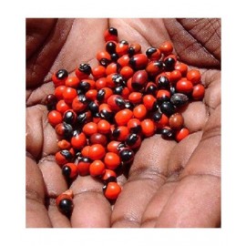 NATURAL RED CHIRMI BEADS( 21 PCS ), GUNJA,GOONJA SEEDS,GURIVINTAA SEEDS,RATEE, NATURAL RED CHIRMI BEADS( 21 PCS ), GUNJA,GOONJA SEEDS,GURIVINTAA SEEDS,RATEE,
