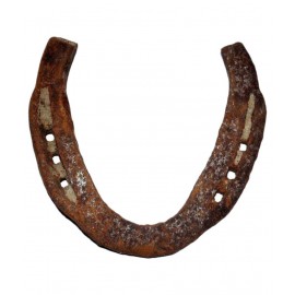 NEXA Iron Horse Shoe Ring