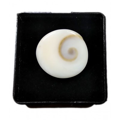 Natural Gomati Chakra Stone 5.25-6.25 Carat ( 1 Pic ) Gomati Chakra for Men and Women Natural Gomati Chakra Stone 5.25-6.25 Carat ( 1 Pic ) Gomati Chakra for Men and Women