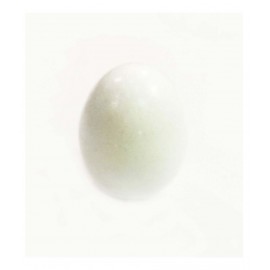 Natural White Shaligram Natural White Shaligram