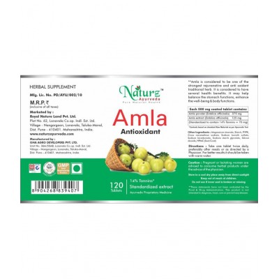 Naturz Ayurveda Amla Tablet 120 no.s Pack Of 1