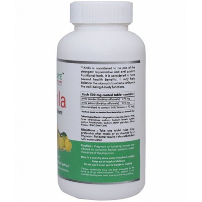 Naturz Ayurveda Amla Tablet 120 no.s Pack Of 1