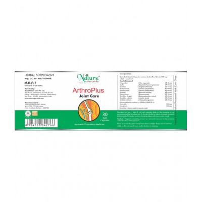 Naturz Ayurveda Arthro Plus Capsule 30 no.s Pack Of 1