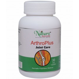 Naturz Ayurveda Arthro Plus Capsule 30 no.s Pack Of 1