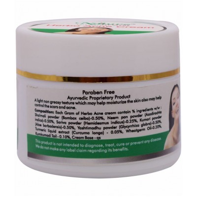Naturz Ayurveda Herbo Acne Cream Paste 50 gm Pack Of 1