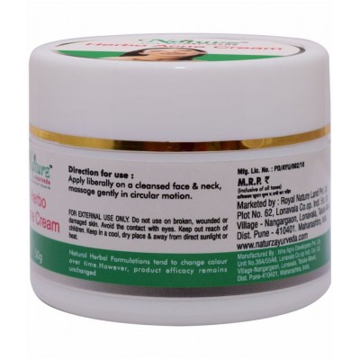 Naturz Ayurveda Herbo Acne Cream Paste 50 gm Pack Of 1