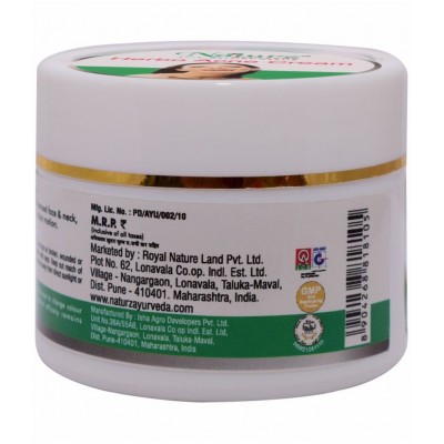 Naturz Ayurveda Herbo Acne Cream Paste 50 gm Pack Of 1