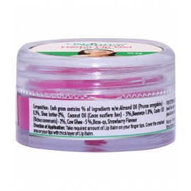 Naturz Ayurveda Lip Balm Lip Gel with Strawberry Flavour Gel 5 gm Pack Of 1