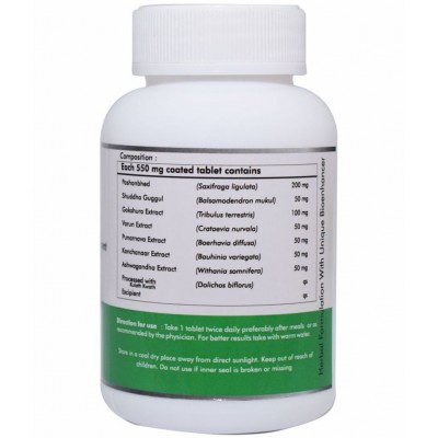 Naturz Ayurveda PRO VEDIC Tablet 60 no.s Pack Of 1