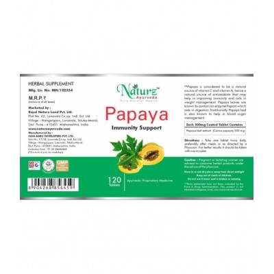 Naturz Ayurveda Papaya Tablet 120 no.s Pack Of 1