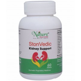 Naturz Ayurveda STON VEDIC Tablet 60 no.s Pack Of 1