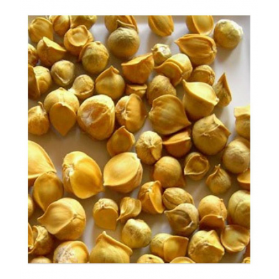 NutrActive One Clove Garlic 150 gm