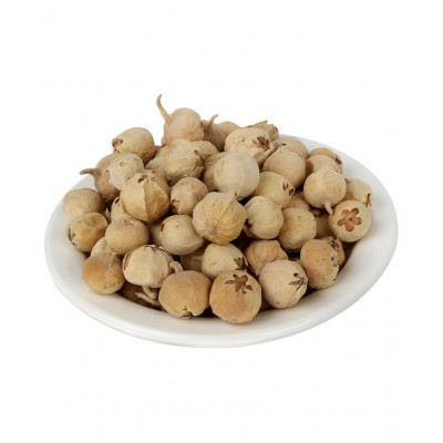 NutrActive Paneer Doda / Dodi 600 gm