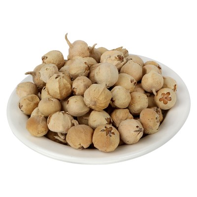 NutrActive Paneer Dodi, 400 gm