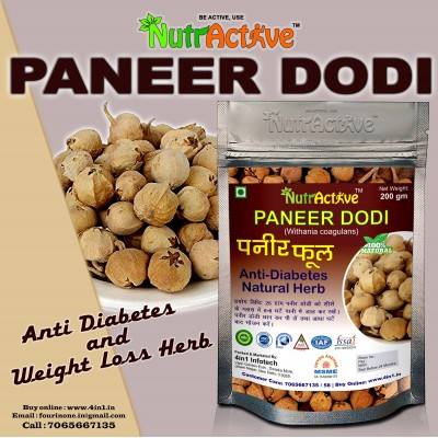 NutrActive Paneer Dodi phool Seeds 800 gm NutrActive Paneer Dodi phool Seeds 800 gm
