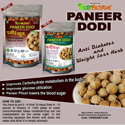 NutrActive Paneer dodi 300 gm