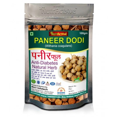 NutrActive Paneer dodi 300 gm