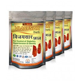 NutrActive Vijayasar Bark 800 gm