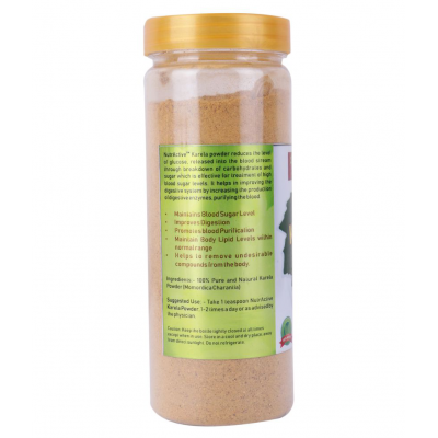 NutrActive karela powder 450 gm