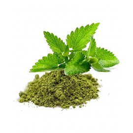 Nutrixia Food Basil Leaf Powder,Tulsi Patta Powder 100 gm Pack Of 1