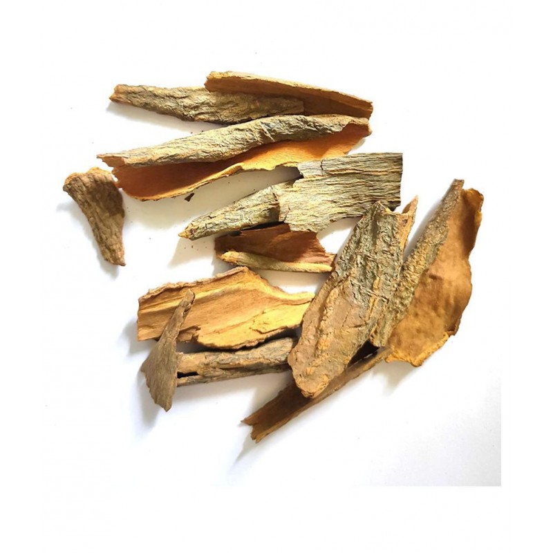 Nutrixia Food CINCONA BARK SINKONA BARK Raw Herbs 250 gm