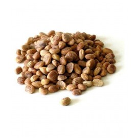 Nutrixia Food Charoli/चिरोंजी / Chironji Raw Herbs 50 gm