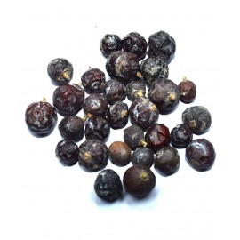 Nutrixia Food Hauber – Juniperus Communis Linn Raw Herbs 100 gm