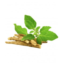 Nutrixia Food Others 50 gm Pack of 1