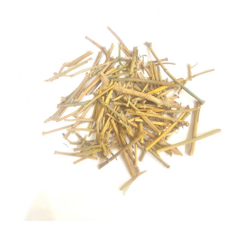 Nutrixia Food Somlata Somlata –  सोमलता Raw Herbs 100 gm