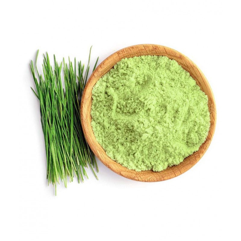 Nutrixia Food Weatgrass Churna Powder 500 gm Pack Of 1