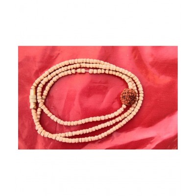 Om Paratparaya: Tulsi mala with Rudraksha  Pack of 2