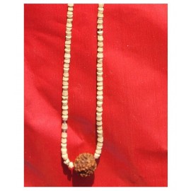 Om Paratparaya: Tulsi mala with Rudraksha  Pack of 2