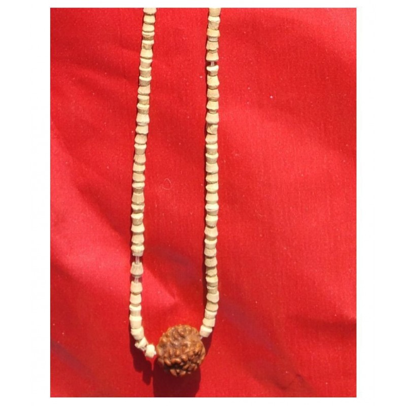 Om Paratparaya: Tulsi mala with Rudraksha  Pack of 2