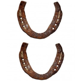 Original Kale Ghod Ki Naal/ Black Horse Shoe for Good Luck And Restrict Bad/Evil Energy (PACK OF 2) Original Kale Ghod Ki Naal/ Black Horse Shoe for Good Luck And Restrict Bad/Evil Energy (PACK OF 2)