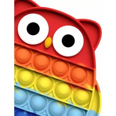 Owl Pop It Fidget Toys,Push Pop Bubble Fidget Sensory Toy,Autism Special Needs Silicone Stress Relief Toy,Great Fidget Toy Sensory Toys Novelty Gifts for Girls Boys Kids Adults ((OWL)-NEW Rainbow)  (Multicolor)