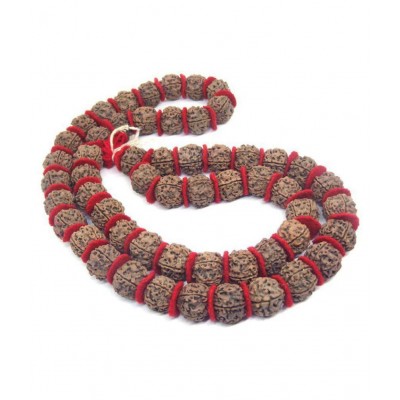 PAYSTORE  Original 5 Mukhi/Five Face Kantha Mala Bead Size 22 MM Approx