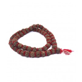 PAYSTORE  Original 5 Mukhi/Five Face Kantha Mala Bead Size 22 MM Approx PAYSTORE  Original 5 Mukhi/Five Face Kantha Mala Bead Size 22 MM Approx