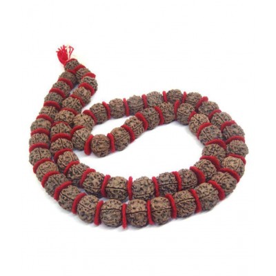 PAYSTORE  Original 5 Mukhi/Five Face Kantha Mala Bead Size 22 MM Approx