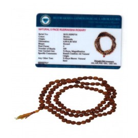 PAYSTORE 5 Mukhi Nepal Rudraksha Mala with 108+1 Beads (7-8mm) - Original With Lab Certification PAYSTORE 5 Mukhi Nepal Rudraksha Mala with 108+1 Beads (7-8mm) - Original With Lab Certification