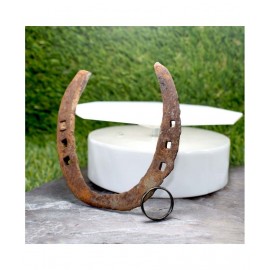 PAYSTORE Combo of Iron Original Black Horse Shoe Ghode ki Naal & Black Horse Shoe Ring for for Good Luck, Restrict Bad/Evil Energy PAYSTORE Combo of Iron Original Black Horse Shoe Ghode ki Naal & Black Horse Shoe Ring for for Good Luck, Restrict Bad/Evil Energy