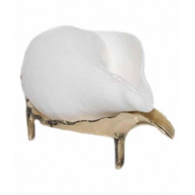 PAYSTORE Premium Quality Blowing Shankh with Pure Brass Shankh Stand