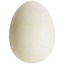 PAYSTORE WHITE SHALIGRAM - SALAGRAM - SHALIGRAMA - Shiv Shaligram