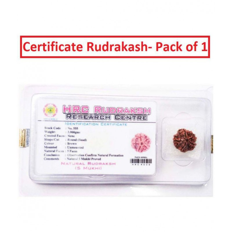 Pantone 100% Original 5 Face Nepali Rudraksha With Lab Certificate - Pack of 1