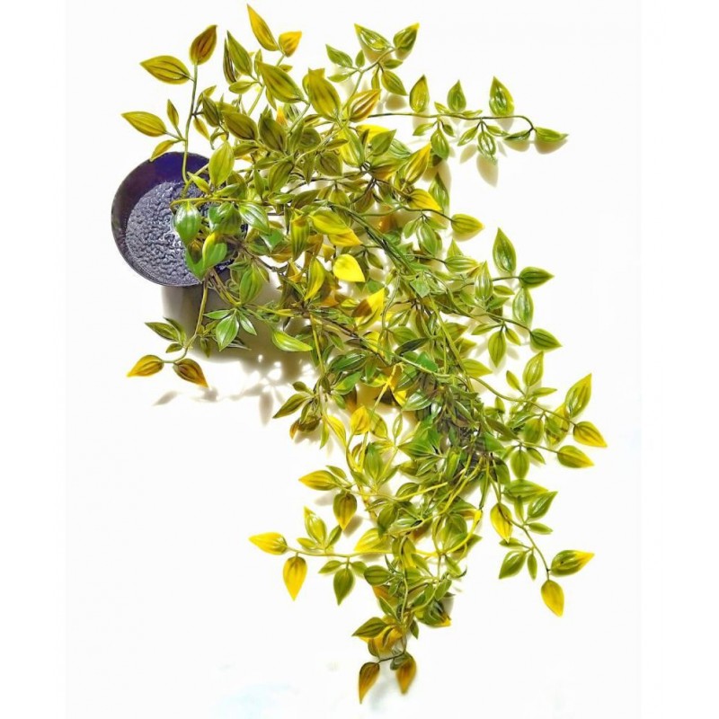 Paperi Hanging Multicolour Greens With Pot Plastic - Pack of 1