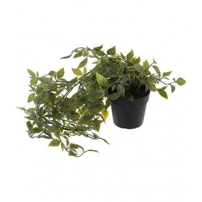 Paperi Hanging Plant Green Artificial Plants Bunch Plastic - Pack of 1